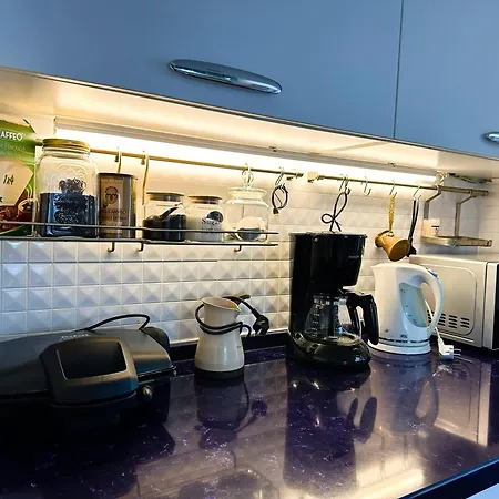 Deluxe Duplex In Center With 210 Degrees Bosphorus Viewed Apartment